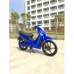 Электроскутер UGBEST Leopard 307220 3 кВт, синий 